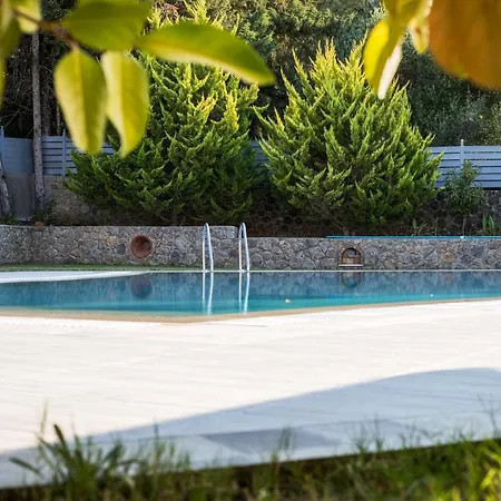 Alexandra فيلة ذيسْخا